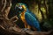 Colorful Blue-and-yellow Macaw Full Body In Forest. Colorful and Vibrant Animal.
