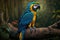 Colorful Blue-and-yellow Macaw Full Body In Forest. Colorful and Vibrant Animal.