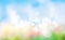Colorful blurred nature landscape summer background,green grass blue sky texture