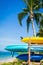 Colorful boats and coconut palms