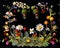 Colorful botanical wreath with flowers and berries on a black background.Generative AI