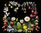 Colorful botanical wreath with flowers and berries on a black background.Generative AI