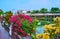 The colorful bougainvillea on embankment of Wang River, Lampang, Thailand