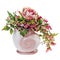 Colorful bouquet from roses and peon flowers in vase isolated on
