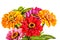 Colorful bouquet of summer zinnias isolated on a white