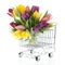 Colorful bouquet tulips in shopping cart