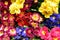 Colorful bouquets primrose