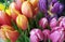 Colorful bouquets of tulips