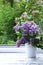 Colorful branches of lilac on an open window with a view of a blossoming lilac.