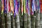 Colorful Brazilian Carnival Wish Ribbons Bamboo Forest