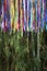 Colorful Brazilian Carnival Wish Ribbons Bamboo Forest Jungle