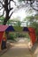 Colorful bridge in Lodi Gardens