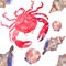 Colorful bright beautiful lovely summer sea tasty delicious pattern of red crabs and tender pastel seashells watercolor hand illus