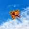 Colorful bright kite flying in the wind on the blue sky
