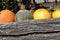 Colorful bright pumpkins line near old wooden trunk