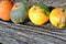 Colorful bright pumpkins line near old wooden trunk