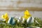 Colorful and bright Spring composition and table background with space for your decor