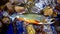 Colorful Brook Trout on Stream