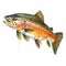 Colorful Brown Trout Drawing With High Detail