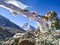 Colorful buddhist prayer flags and Ama Dablam mountain in the background