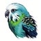 Colorful Budgie Bird Illustration In Dark Cyan And Emerald