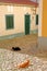 Colorful buildings inside the old town of Monchique, with cats relaxing on the cobbled pavement, Monchique, Algarve