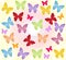 Colorful butterflies