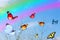 Colorful butterflies fly against tender wild flowering herbs. Beautiful sky with magic rainbow