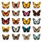 Colorful Butterflies: Free Vector With Realistic 3d Depictions