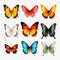 Colorful Butterflies: Hyper-realistic 3d Illustrations On Transparent Background