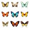 Colorful Butterflies: Hyper-realistic Vector Images On Transparent Background