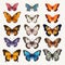 Colorful Butterflies Set Illustration - Golden Age Style