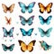 Colorful Butterflies On Transparent Background Realistic 3d Design