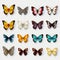 Colorful Butterflies Vector Illustration: Hyper-realistic And Detailed