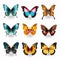 Colorful Butterflies Vector Set: Realistic Portrayal Of Light And Shadow