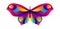 Colorful butterfly. Bright abstract insect.