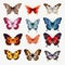 Colorful Butterfly Collection: Realistic Brushwork Illustrations On White Background