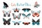Colorful butterfly icon set