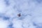 Colorful butterfly kite across a blue sky