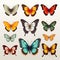 Colorful Butterfly Set For Design Needs