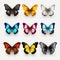 Colorful Butterfly Set: Realistic 3d Butterflies On Transparent Background