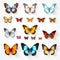 Colorful Butterfly Set: Realistic Portrayal Of Light And Shadow