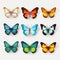 Colorful Butterfly Set Vector Illustration - Hyper-realistic Birds-eye-view