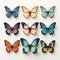 Colorful Butterfly Vector Illustrations With Realistic 3d Details