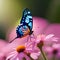 colorful butterfly on the vibrant pink bunch of flowers, blur background