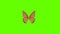 Colorful Butterfly Wings On Green Screen Matte Background 4k Animation Stock Footage. 3D Butterfly Stock Videos