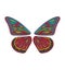 Colorful butterfly wings with intricate patterns. Abstract nature art, decorative insect design. Colorful symmetry and