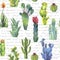 Colorful Cacti seamless pattern on text background
