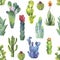 Colorful Cacti seamless pattern on white  background