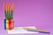Colorful cactus Sansevieria Velvet Touch, rainbow pencils, working school drawing concept